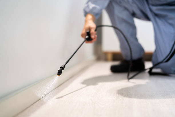 Bed Bug Pre-Treatment Preparation Assessment in Norwood