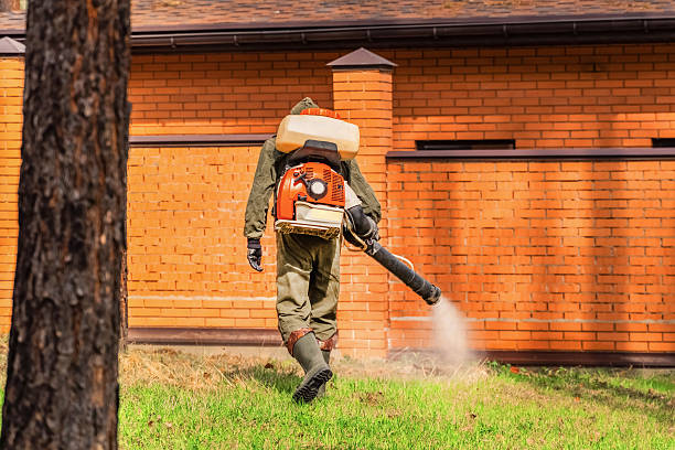 Bed Bug Clearance Verification and Documentation in Norwood
